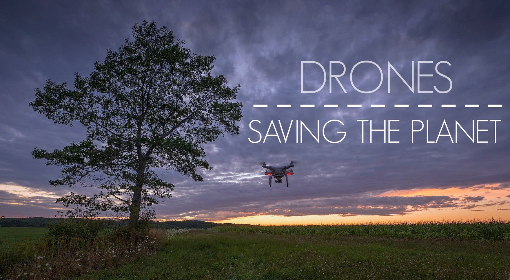 How Drones Can Save Wildlife and Protect the Environment - DrDrone.ca