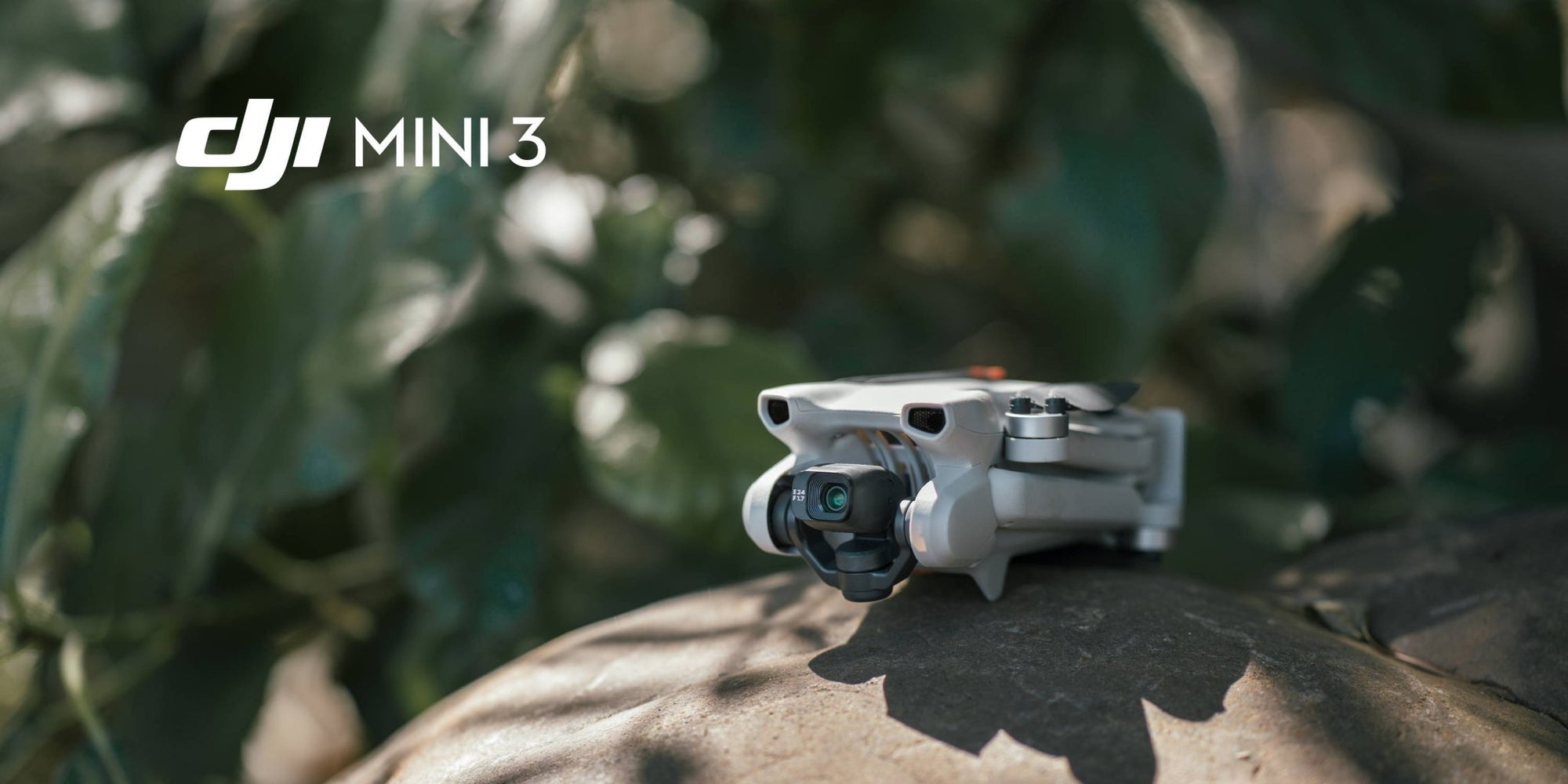 So Fly: DJI Releases the new Mini 3 - DrDrone.ca